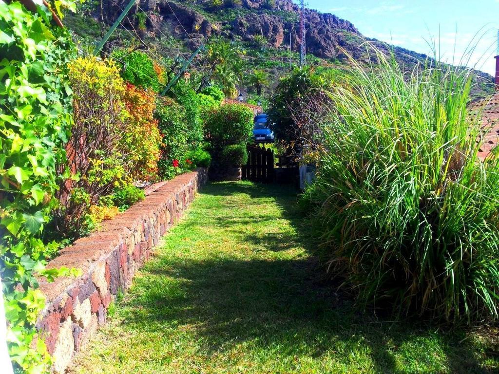 El Drago Rural House Guest House Alajero Bilik gambar